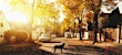 House Hunting Picture