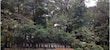 Zillow zoo